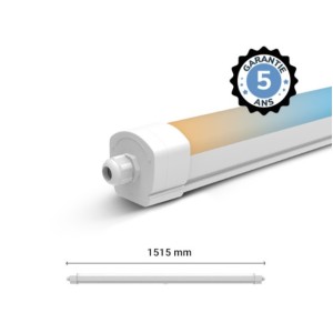 Étanche LED Intégrées DANUBE CCT 50W 1555 x 59 x 61 mm Traversant -...