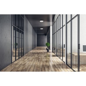 Ceiling light BENO ECO LED Ø200 20w CCT IP65 Black