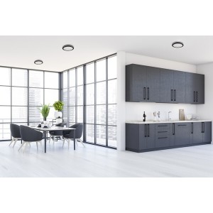 Plafonnier BENO ECO LED Ø200 20w CCT IP65 Noir