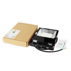 Miboxer - Proiettore LED 30W RGB+CCT (2,4 GHz) IP65 - Codice: FUTT03
