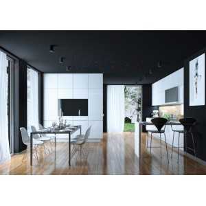 https://design-led.fr/nl/ BORD-DLP zwarte accent plafondlamp 1xGU10 29,80 € 25,33 € 22552
