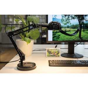 https://discount-led.fr/nl/ PIXA bureaulamp Zwart 1xE14  27,50 €  22,00 €    19301