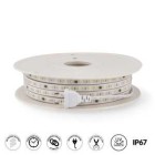 LED ribbon 2835 230v
